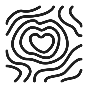 Topographical Surveys